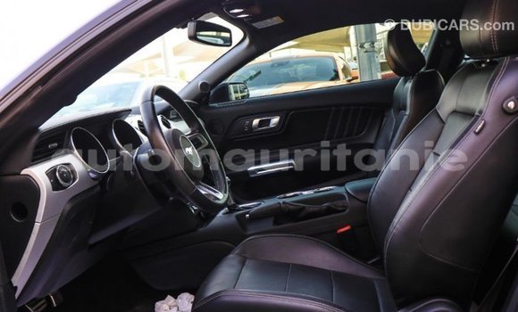 Acheter Import Voiture Ford Mustang Noir à Import - Dubai, Adrar Acheter Import Voiture Ford Mustang Noir à Import - Dubai, Adrar