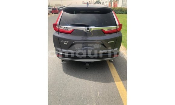 Buy Import Honda C Other Bike in Import - Dubai in Adrar Buy Import Honda C Other Bike in Import - Dubai in Adrar