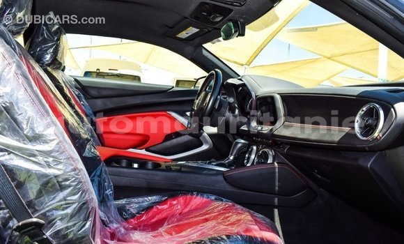 Acheter Import Voiture Chevrolet Camaro Autre à Import - Dubai, Adrar Acheter Import Voiture Chevrolet Camaro Autre à Import - Dubai, Adrar