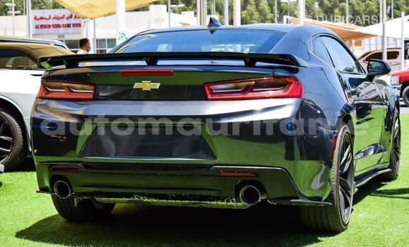 Acheter Import Voiture Chevrolet Camaro Autre à Import - Dubai, Adrar Acheter Import Voiture Chevrolet Camaro Autre à Import - Dubai, Adrar