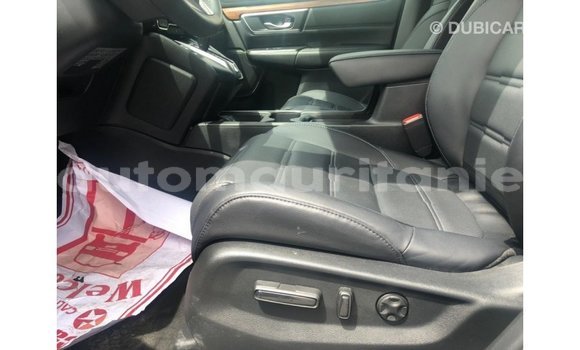 Buy Import Honda C Other Bike in Import - Dubai in Adrar Buy Import Honda C Other Bike in Import - Dubai in Adrar