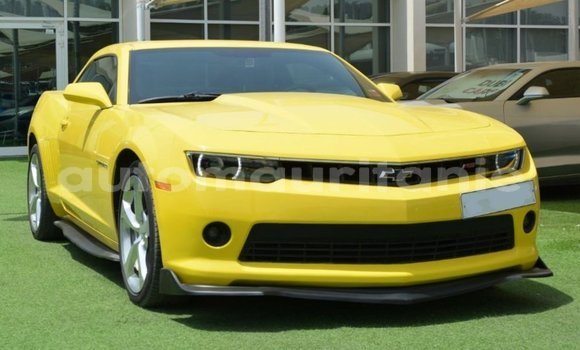 Buy Import Chevrolet Camaro Other Car in Import - Dubai in Adrar