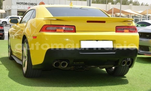 Acheter Import Voiture Chevrolet Camaro Autre à Import - Dubai, Adrar Acheter Import Voiture Chevrolet Camaro Autre à Import - Dubai, Adrar