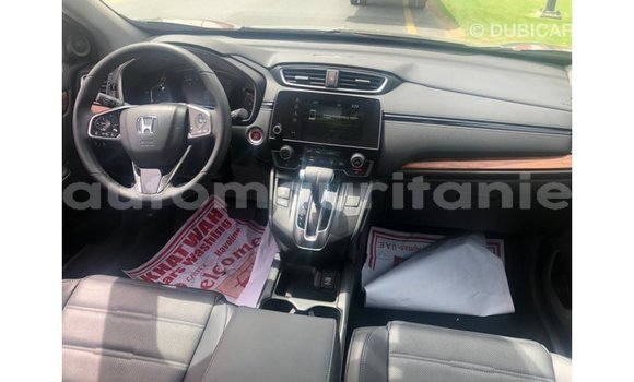 Buy Import Honda C Other Bike in Import - Dubai in Adrar Buy Import Honda C Other Bike in Import - Dubai in Adrar