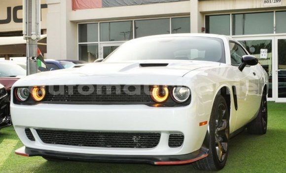 Buy Import Dodge Challenger White Car in Import - Dubai in Adrar