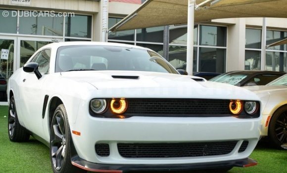 Acheter Import Voiture Dodge Challenger Blanc à Import - Dubai, Adrar Acheter Import Voiture Dodge Challenger Blanc à Import - Dubai, Adrar