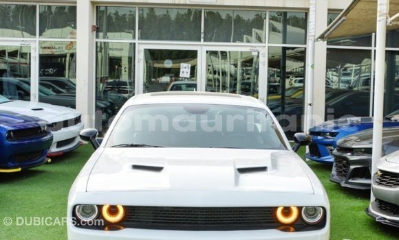 Acheter Import Voiture Dodge Challenger Blanc à Import - Dubai, Adrar Acheter Import Voiture Dodge Challenger Blanc à Import - Dubai, Adrar