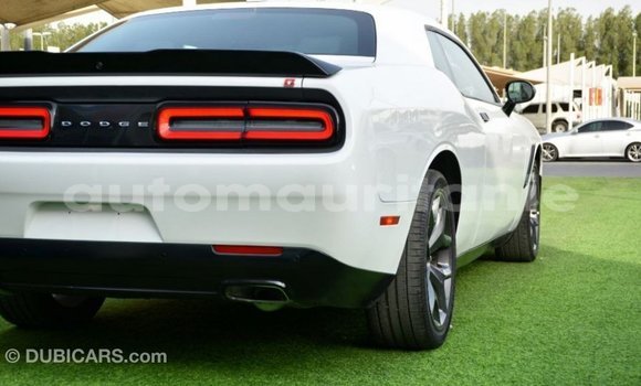 Acheter Import Voiture Dodge Challenger Blanc à Import - Dubai, Adrar Acheter Import Voiture Dodge Challenger Blanc à Import - Dubai, Adrar