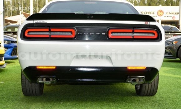 Acheter Import Voiture Dodge Challenger Blanc à Import - Dubai, Adrar Acheter Import Voiture Dodge Challenger Blanc à Import - Dubai, Adrar