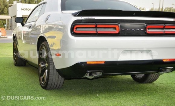 Acheter Import Voiture Dodge Challenger Blanc à Import - Dubai, Adrar Acheter Import Voiture Dodge Challenger Blanc à Import - Dubai, Adrar