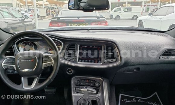 Acheter Import Voiture Dodge Challenger Blanc à Import - Dubai, Adrar Acheter Import Voiture Dodge Challenger Blanc à Import - Dubai, Adrar