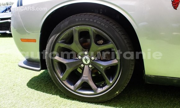 Acheter Import Voiture Dodge Challenger Autre à Import - Dubai, Adrar Acheter Import Voiture Dodge Challenger Autre à Import - Dubai, Adrar