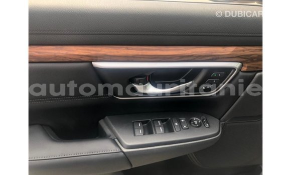 Buy Import Honda C Other Bike in Import - Dubai in Adrar Buy Import Honda C Other Bike in Import - Dubai in Adrar