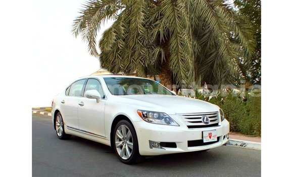 Buy Import Lexus LS White Car in Import - Dubai in Adrar
