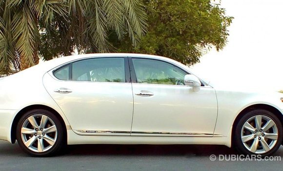 Acheter Import Voiture Lexus LS Blanc à Import - Dubai, Adrar Acheter Import Voiture Lexus LS Blanc à Import - Dubai, Adrar
