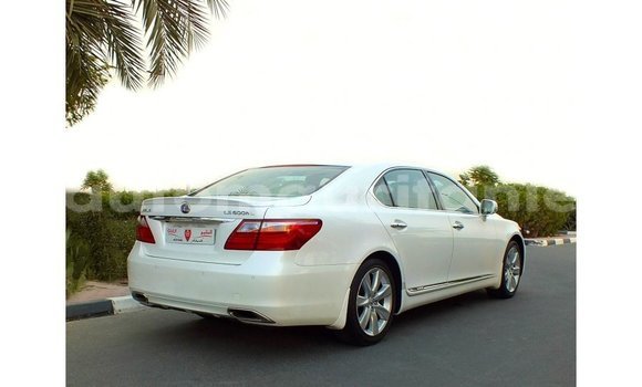 Acheter Import Voiture Lexus LS Blanc à Import - Dubai, Adrar Acheter Import Voiture Lexus LS Blanc à Import - Dubai, Adrar