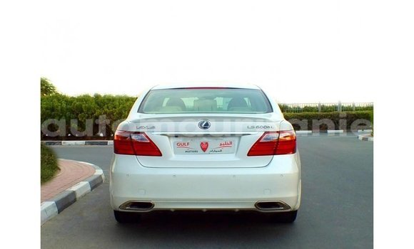 Acheter Import Voiture Lexus LS Blanc à Import - Dubai, Adrar Acheter Import Voiture Lexus LS Blanc à Import - Dubai, Adrar