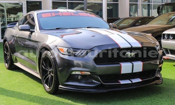 Buy Import Ford Mustang Other Car in Import - Dubai in Adrar