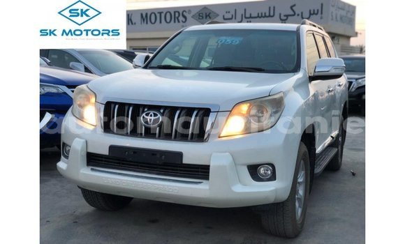 Buy Import Toyota Prado White Car in Import - Dubai in Adrar