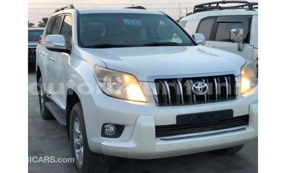 Buy Import Toyota Prado White Car in Import - Dubai in Adrar Buy Import Toyota Prado White Car in Import - Dubai in Adrar