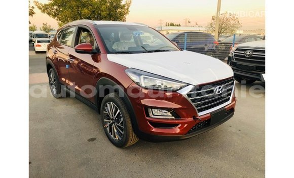 Buy Import Hyundai Tucson Other Car in Import - Dubai in Adrar Buy Import Hyundai Tucson Other Car in Import - Dubai in Adrar