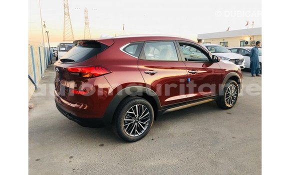 Buy Import Hyundai Tucson Other Car in Import - Dubai in Adrar Buy Import Hyundai Tucson Other Car in Import - Dubai in Adrar