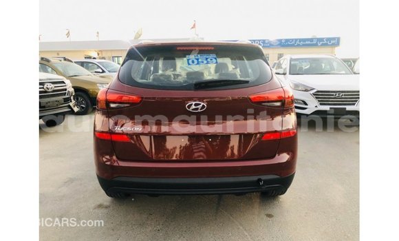 Buy Import Hyundai Tucson Other Car in Import - Dubai in Adrar Buy Import Hyundai Tucson Other Car in Import - Dubai in Adrar