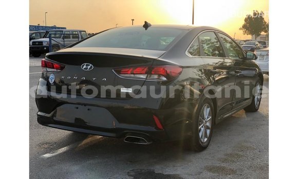 Buy Import Hyundai Sonata Black Car in Import - Dubai in Adrar Buy Import Hyundai Sonata Black Car in Import - Dubai in Adrar