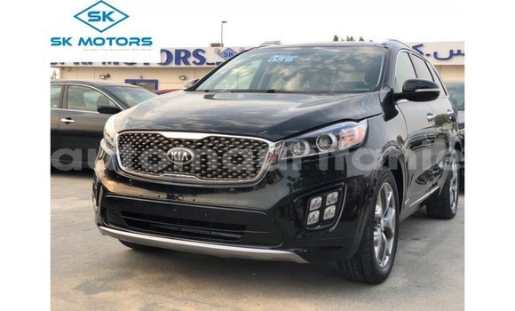 Buy Import Kia Sorento Black Car in Import - Dubai in Adrar