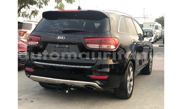 Buy Import Kia Sorento Black Car in Import - Dubai in Adrar Buy Import Kia Sorento Black Car in Import - Dubai in Adrar