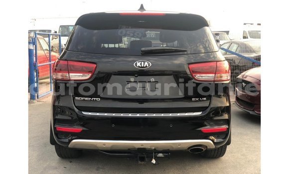 Buy Import Kia Sorento Black Car in Import - Dubai in Adrar Buy Import Kia Sorento Black Car in Import - Dubai in Adrar