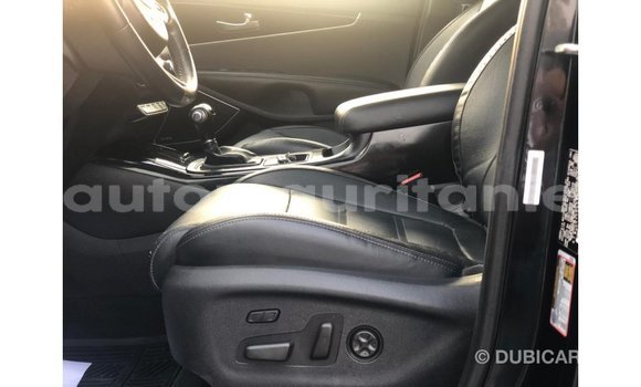 Buy Import Kia Sorento Black Car in Import - Dubai in Adrar Buy Import Kia Sorento Black Car in Import - Dubai in Adrar