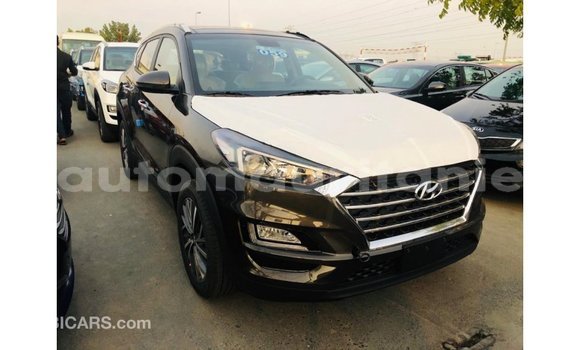 Buy Import Hyundai Tucson Brown Car in Import - Dubai in Adrar Buy Import Hyundai Tucson Brown Car in Import - Dubai in Adrar