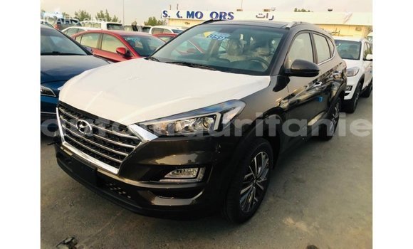 Buy Import Hyundai Tucson Brown Car in Import - Dubai in Adrar Buy Import Hyundai Tucson Brown Car in Import - Dubai in Adrar