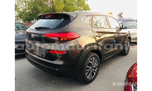 Buy Import Hyundai Tucson Brown Car in Import - Dubai in Adrar Buy Import Hyundai Tucson Brown Car in Import - Dubai in Adrar