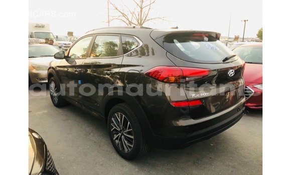 Buy Import Hyundai Tucson Brown Car in Import - Dubai in Adrar Buy Import Hyundai Tucson Brown Car in Import - Dubai in Adrar