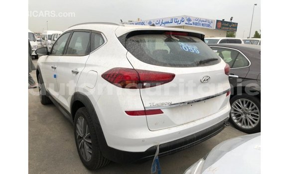 Buy Import Hyundai Tucson White Car in Import - Dubai in Adrar Buy Import Hyundai Tucson White Car in Import - Dubai in Adrar