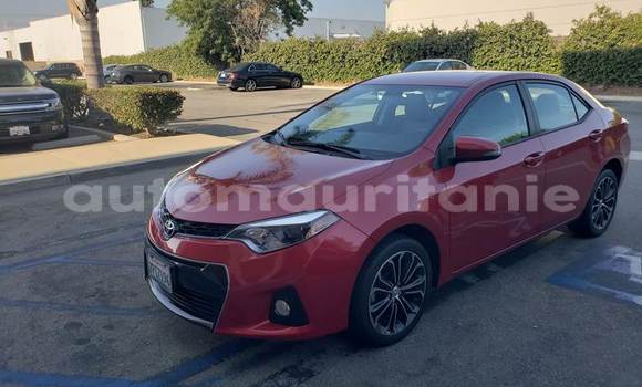 Buy Used Toyota Corolla Red Car in Magta' Lahjar in Brakna Buy Used Toyota Corolla Red Car in Magta' Lahjar in Brakna