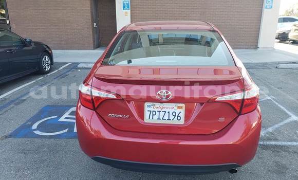 Buy Used Toyota Corolla Red Car in Magta' Lahjar in Brakna Buy Used Toyota Corolla Red Car in Magta' Lahjar in Brakna