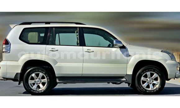 Acheter Import Voiture Toyota Prado Blanc à Import - Dubai, Adrar Acheter Import Voiture Toyota Prado Blanc à Import - Dubai, Adrar