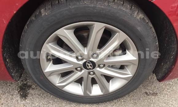 Acheter Occasion Voiture Hyundai Elantra Rouge à Aioun, Hodh El Gharbi Acheter Occasion Voiture Hyundai Elantra Rouge à Aioun, Hodh El Gharbi