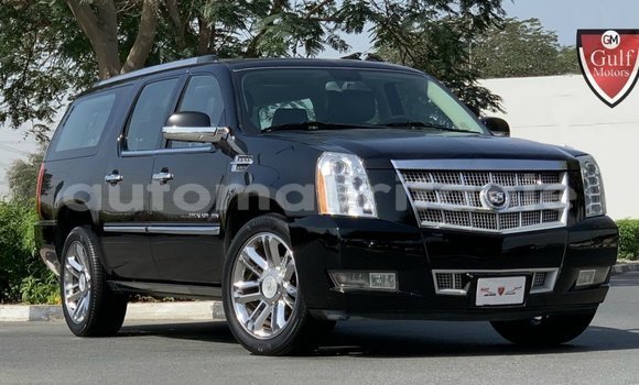 Acheter Import Voiture Cadillac Escalade Noir à Import - Dubai, Adrar