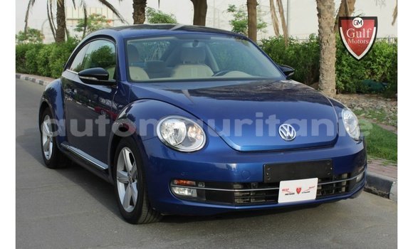 Acheter Import Voiture Volkswagen Beetle Bleu à Import - Dubai, Adrar