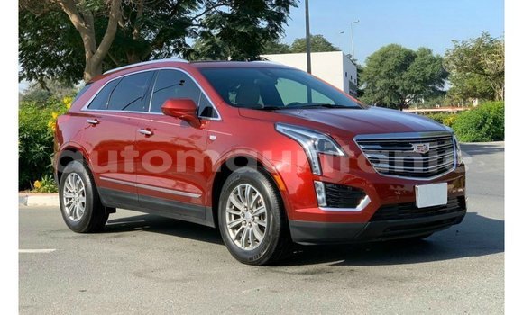 Buy Import Cadillac XT5 Red Car in Import - Dubai in Adrar