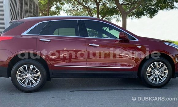 Acheter Import Voiture Cadillac XT5 Rouge à Import - Dubai, Adrar Acheter Import Voiture Cadillac XT5 Rouge à Import - Dubai, Adrar