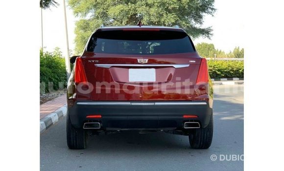 Acheter Import Voiture Cadillac XT5 Rouge à Import - Dubai, Adrar Acheter Import Voiture Cadillac XT5 Rouge à Import - Dubai, Adrar