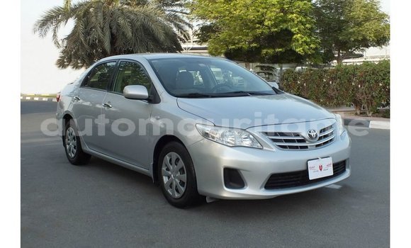 Buy Import Toyota Corolla Other Car in Import - Dubai in Adrar