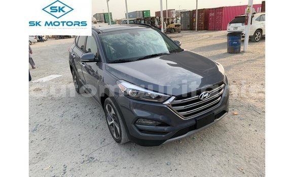 Acheter Import Voiture Hyundai Tucson Autre à Import - Dubai, Adrar Acheter Import Voiture Hyundai Tucson Autre à Import - Dubai, Adrar