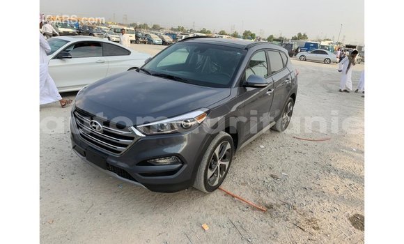 Acheter Import Voiture Hyundai Tucson Autre à Import - Dubai, Adrar Acheter Import Voiture Hyundai Tucson Autre à Import - Dubai, Adrar