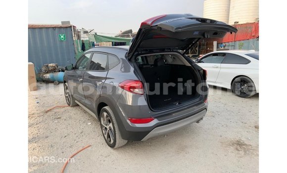 Acheter Import Voiture Hyundai Tucson Autre à Import - Dubai, Adrar Acheter Import Voiture Hyundai Tucson Autre à Import - Dubai, Adrar